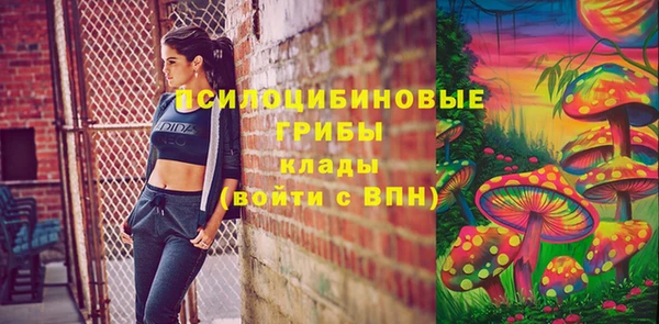MDMA Premium VHQ Богородицк