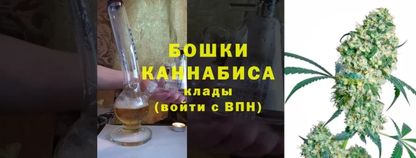 spice Богородск
