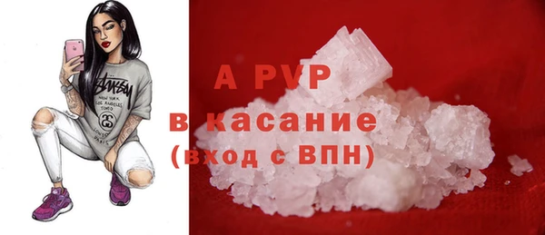 spice Богородск