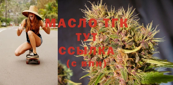 spice Богородск