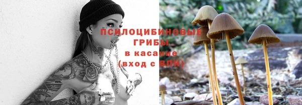 spice Богородск
